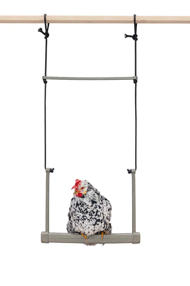 Beeztees Schommel - Kippenschommel - Grijs Groen Beeztees Schommel - Kippenschommel - Grijs Groen