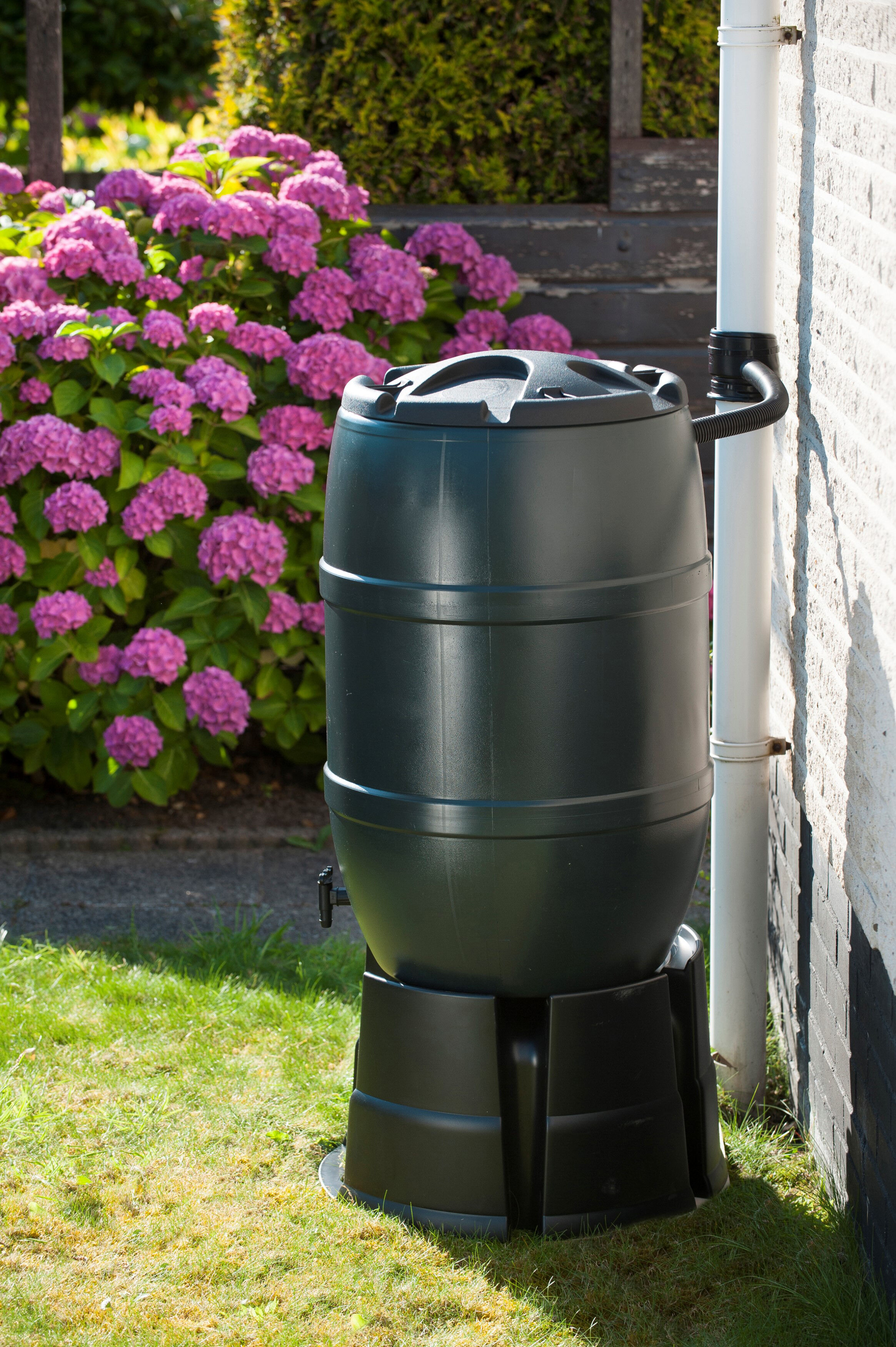 Nature - Regenton - 120 Liter - Zwart