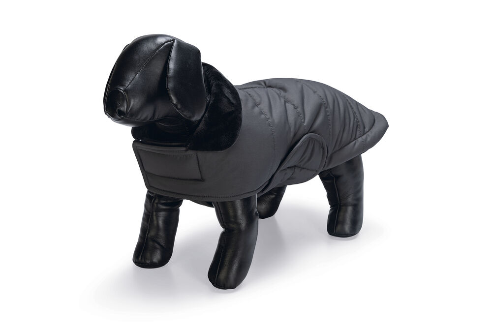 Designed By Lotte Zhanti - Hondenjas - grijs - XL