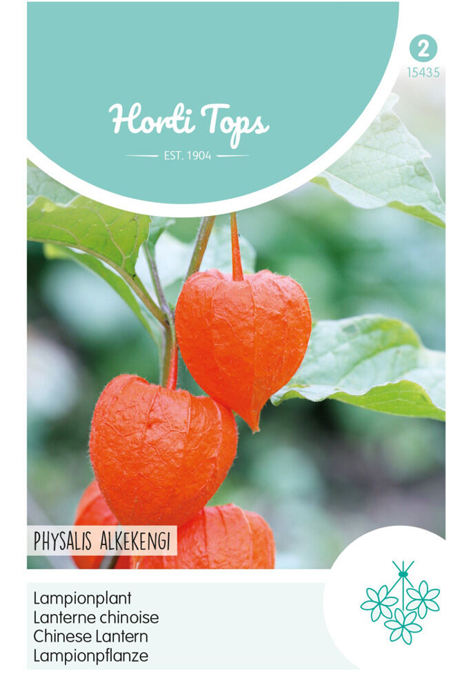 Hortitops Lampionplant - Bloemzaden