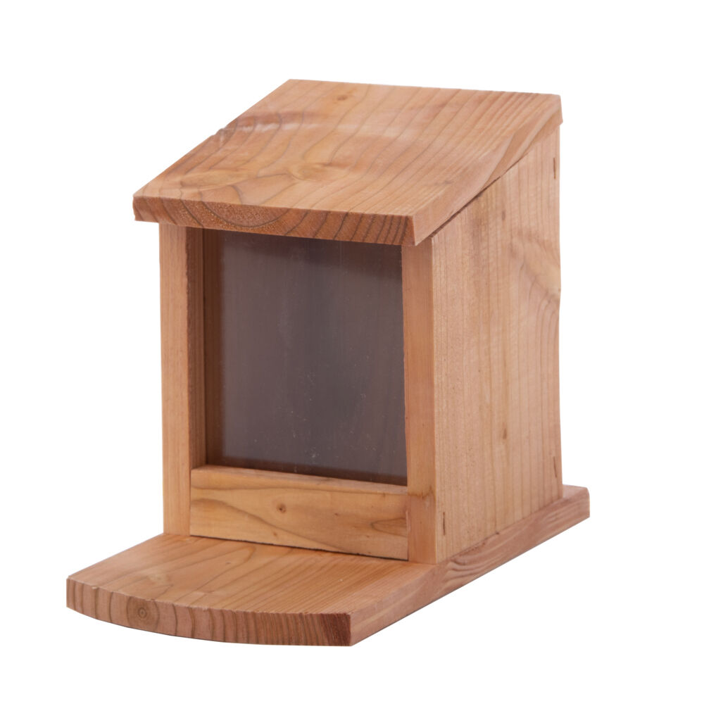 Welkoop Voederhuis Eekhoorn