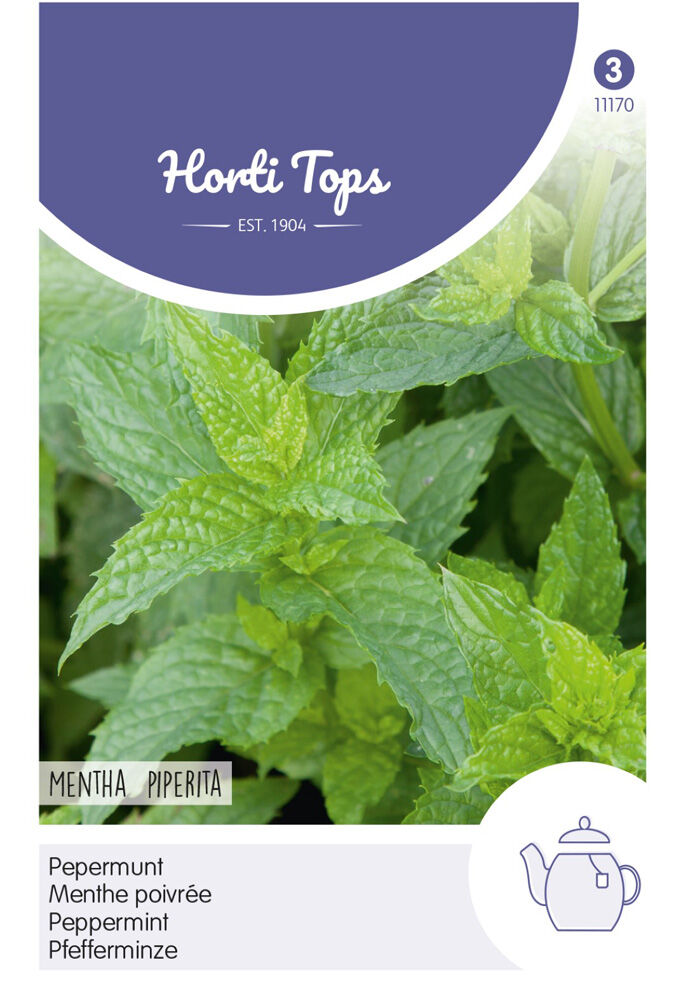 Hortitops Pepermunt Mentha piperita - Kruidenzaden