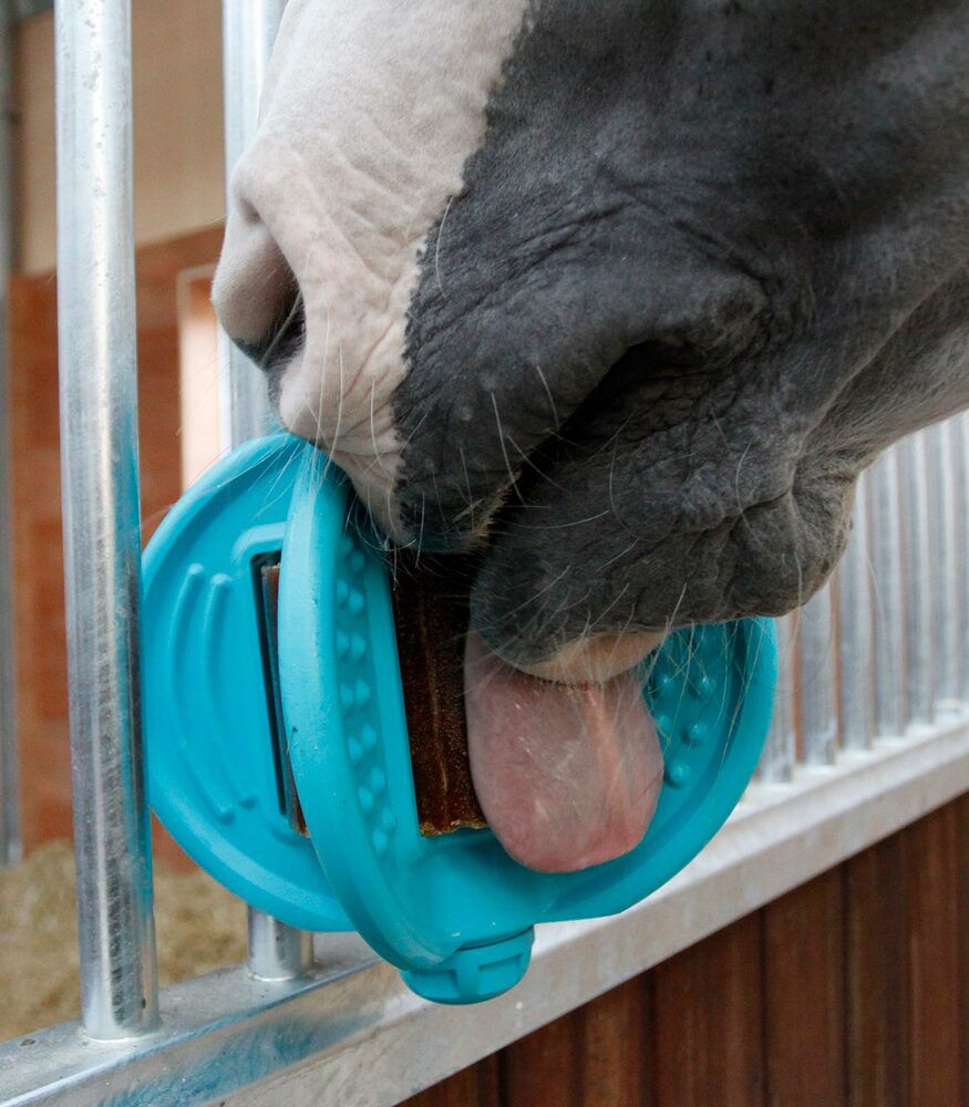 Bizzy Ball - Liksteenhouder - Aqua