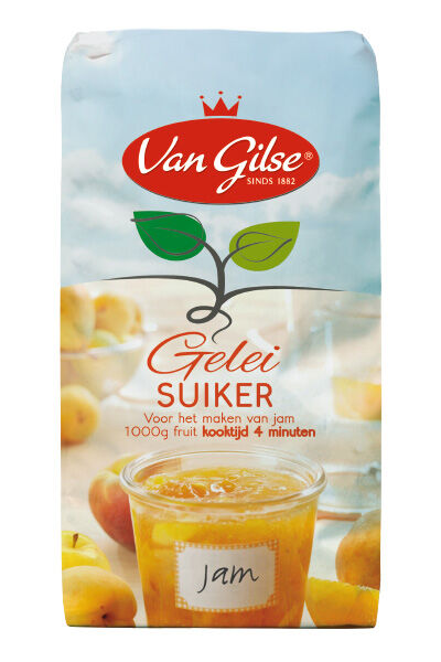 Van Gilse - Geleisuiker - 1 Gram