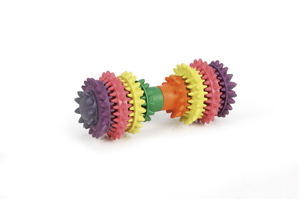 Beeztees - Halter Dental Care - Kauwspeelgoed hond - multi - 14x11.5x6 cm